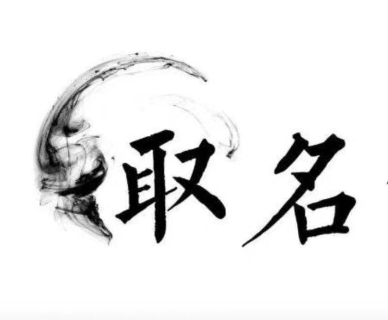  安康市宝宝取名 大师一对一人工起名